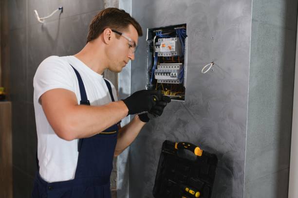 Best Electric Panel Repair  in Oswego, NY